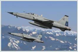 Саудовская Аравия намерена продать списанные истребители F-5E/F «Тайгер-2»