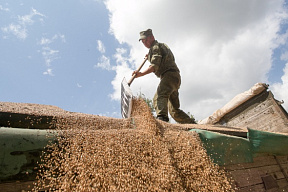 За шесть дней работы в поле – более 280 тонн зерна