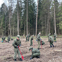 Белорусские военные продолжают участвовать в республиканской акции «Аднавiм лясы разам!»