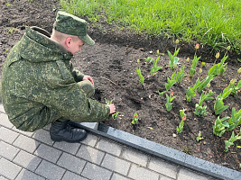 Военнослужащие 361 боо (ЦОВУ) провели работы по благоустройству мемориального комплекса «Тростенец»