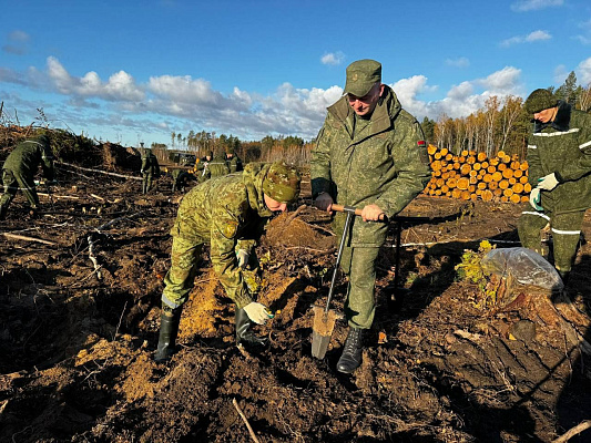 Военнослужащие Гомельского гарнизона продолжают принимать участие в акции «Дай лесу новае жыццё!»