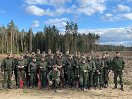 Белорусские военные продолжают участвовать в республиканской акции «Аднавiм лясы разам!»