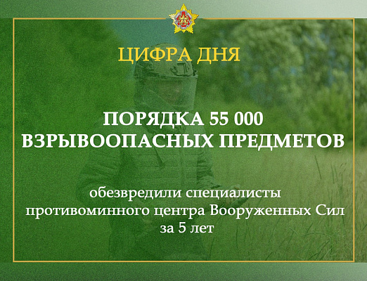 За пять лет специалисты противоминного центра Вооружённых Сил обезвредили около 55 000 ВОП