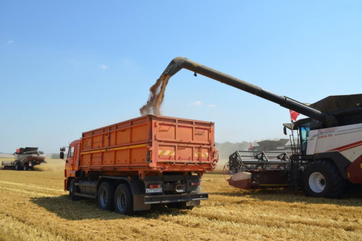 «Уборка урожая — дело общее»