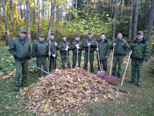 Акция «Чистый лес»