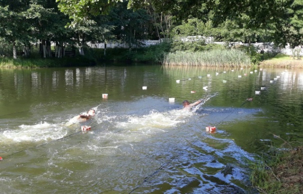 Быстрее, выше, сильнее