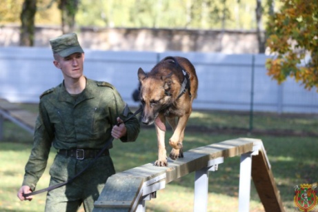 Служба одна на двоих