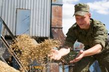 Белорусские военные помогли сельчанам в уборке урожая