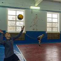 Чемпионат по волейболу