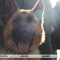 Продолжается подготовка к военному параду, приуроченному к 80-летию Победы в Великой Отечественной войне