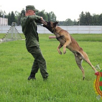Верные друзья готовятся к победам