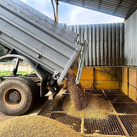 Военнослужащие продолжают оказывать помощь аграриям в уборке урожая