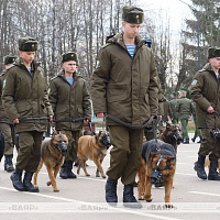 В кинологическом центре Вооружённых Сил состоялся торжественный выпуск курсантов