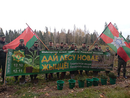 Белорусские военнослужащие принимают участие в акции «Дай лесу новае жыццё»