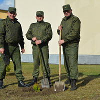 Брестские десантники присоединились к Республиканской акции «Неделя леса»