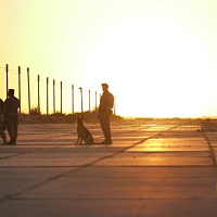 К месту назначения прибыли