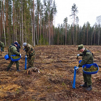 Наведение порядка на своей земле – дело благородное