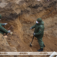 На территории деревни Баля Сольная Гродненского района проходят поисковые работы