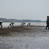Все задачи по плечу!
