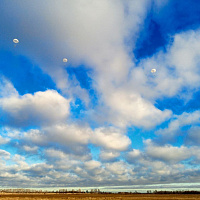 Военнослужащие 5 обр СпН выполнили прыжки с парашютом