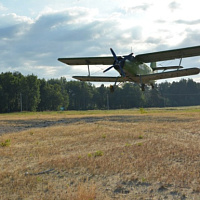 «Расплескалась синева…»