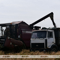 Военнослужащие оказывают помощь в уборке урожая
