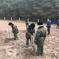 Подарок ветеранам