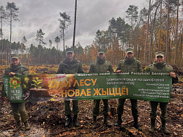 Военнослужащие продолжают принимать участие в акции «Дай лесу новае жыццё!»