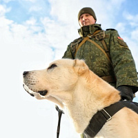 Служба одна на двоих