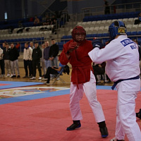 Завершился открытый чемпионат Военной академии Республики Беларусь по армейскому рукопашному бою