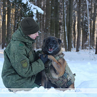 Фотофакт: военнослужащие кинологического центра Вооружённых сил со своими воспитанниками