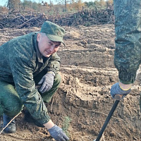 Белорусские военные продолжают участвовать в акции «Дай лесу новае жыццё!»