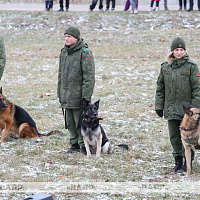 На «Линии Сталина» прошли праздничные мероприятия, посвящённые Дню ракетных войск и артиллерии