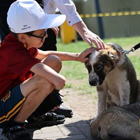 День Независимости — у Кургана Славы