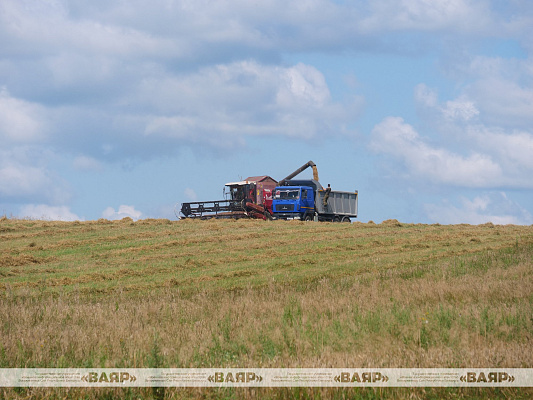 Военнослужащие присоединились к уборке урожая