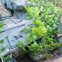 Задачи выполнять готовы