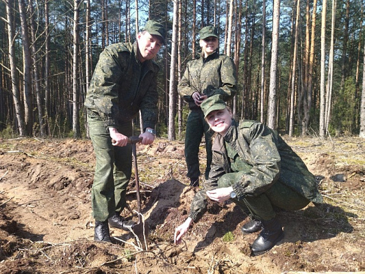 Пусть деревья будут большими