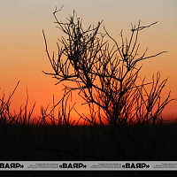 Концерт для участников учения на фоне великолепного заката