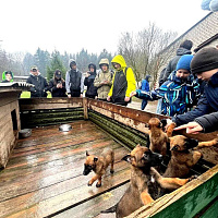 Воспитанники военно-патриотического клуба «Черный лис» побывали в гостях у  военных кинологов 