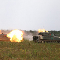 Расцвела буйным цветом «Гвоздика»