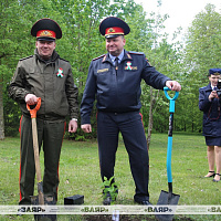 В Гродно прошла акция «Сирень Победы», приуроченная к 80-летию Великой Победы 