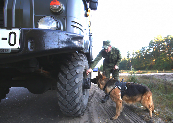 Действия оперативных командований, соединений и воинских частей на полигонах