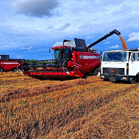 Военнослужащие помогают аграриям Витебщины