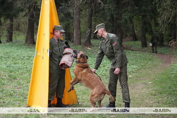 В Кинологическом центре Вооружённых Сил проходит сбор по специальности