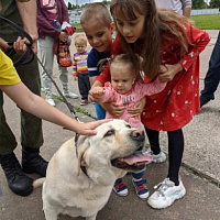 Кинологическому центру Вооружённых Сил — 29 лет