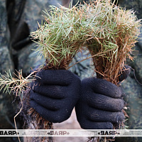 Военнослужащие командования и подразделений ССО приняли участие в акции «Лес! Дабро! Парадак!»