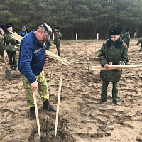 Подарок ветеранам