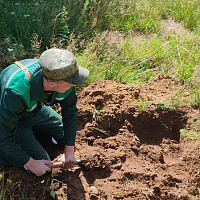 Курсанты изучают военное дело