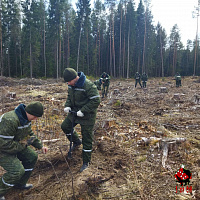 Вклад в будущее нашей страны