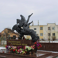 В рамках проекта «Цифровая звезда»